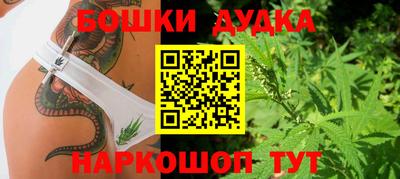 стафф Нальчик