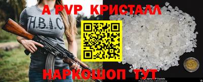 стафф Нальчик